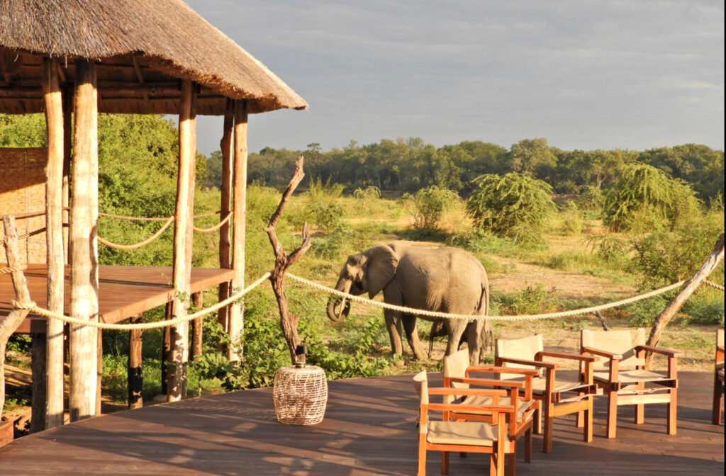 Chikunto Safari Lodge