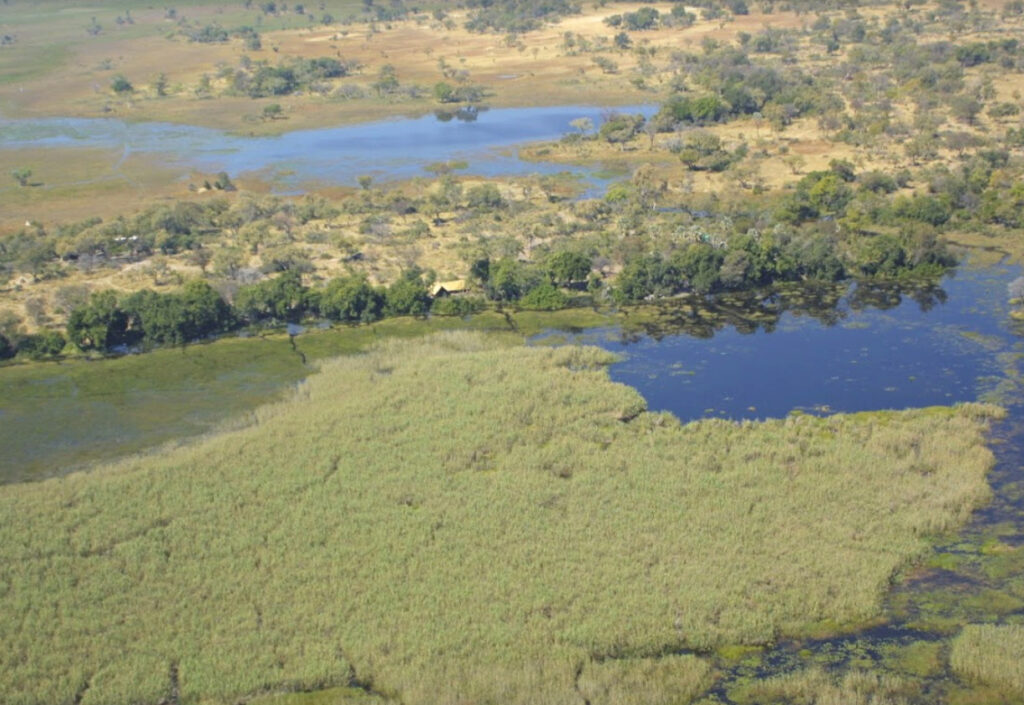 Delta dell’Okavango