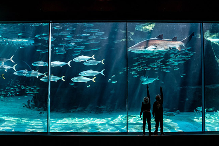 two-oceans-aquarium-waterfront